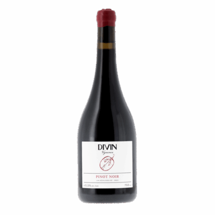 DIVIN VIGNERON PINOT NOIR - Rouge