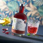 GINGER et GINGER  GINGEMBRE ET HIBISCUS – Image 2