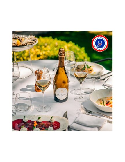 CHAVIN ZERO BLANC DE BLANCS EFFERVESCENT - vue 1 - Blanc Effervescent