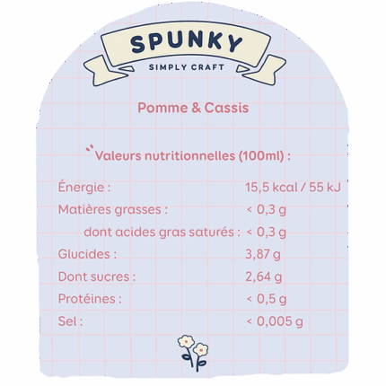 SPUNKY POMME CASSIS - vue 1 - Boissons effervescentes