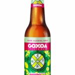 GOXOA BLANCHE CITRON 33CL - Bières de récupération